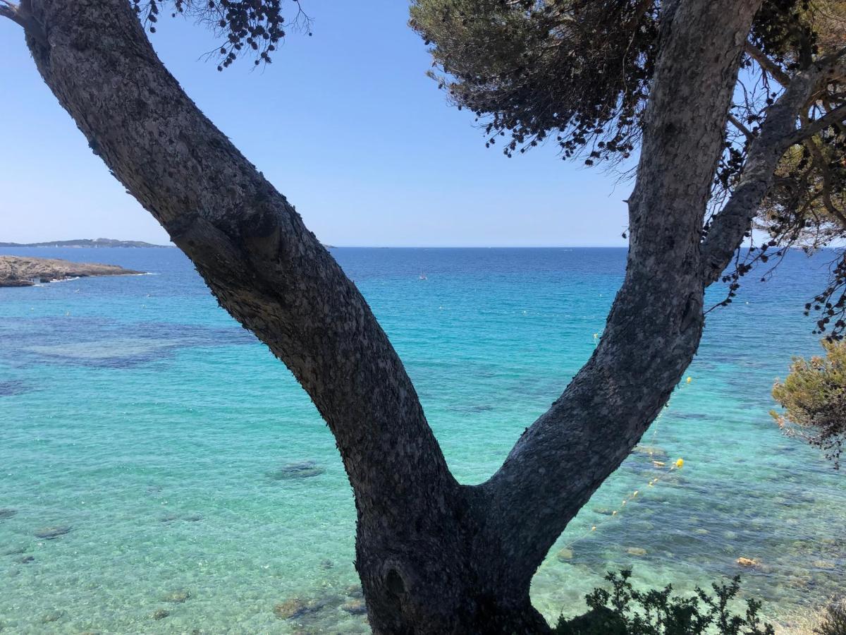 Apartmán Les Baux 1 Sanary-sur-Mer Exteriér fotografie
